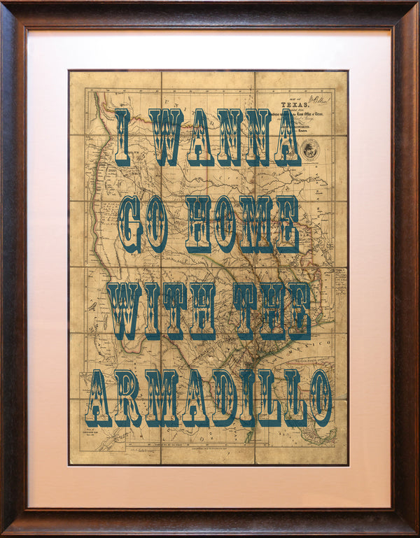 I Wanna go home with the armadillo